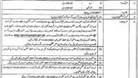 Latest Punjab Workers Welfare Fund (PWWF) STI Jobs 2025