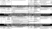 BPS 15 to BPS 18 Jobs in PPSC Advertisement No. 04/2025