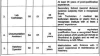 Today Punjab Wildlife and Parks Department Jobs 2025