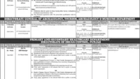 BS-11 to BS-19 Vacancies in PPSC Advertisement No. 08/2025