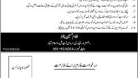 Latest Federal Service Tribunal FST Islamabad Jobs 2025