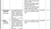 Latest Ministry of Energy Petroleum Division Jobs 2025